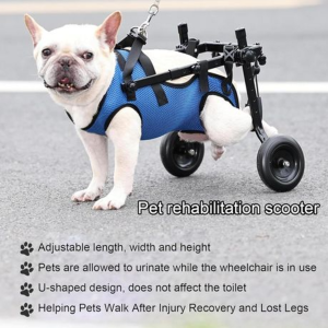 Pet Walk Adjustable Wheelchair For Back Legs - Image 6