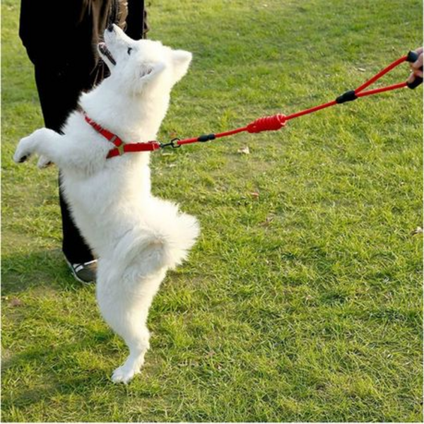 Nylon Double Dog Leash/Lead (Please Select Size)