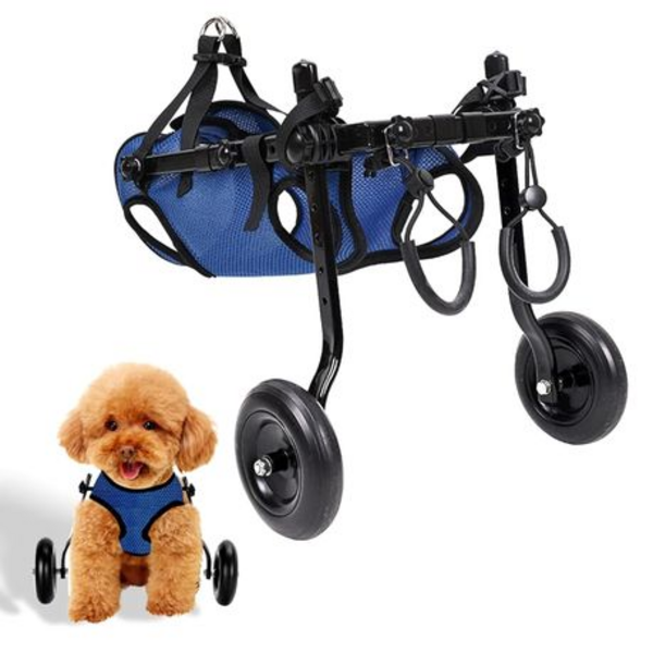 Pet Walk Adjustable Wheelchair For Back Legs