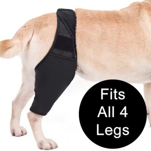 Dog Knee Brace - Fits Any Leg (Please Select Size) - XS