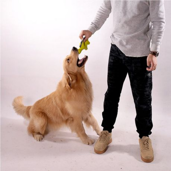 Latex T-Rex Dog Toy with Squeaker - Non-Toxic Natural Rubber (14cm)