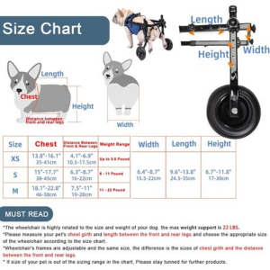 Pet Walk Adjustable Wheelchair For Back Legs - Image 2