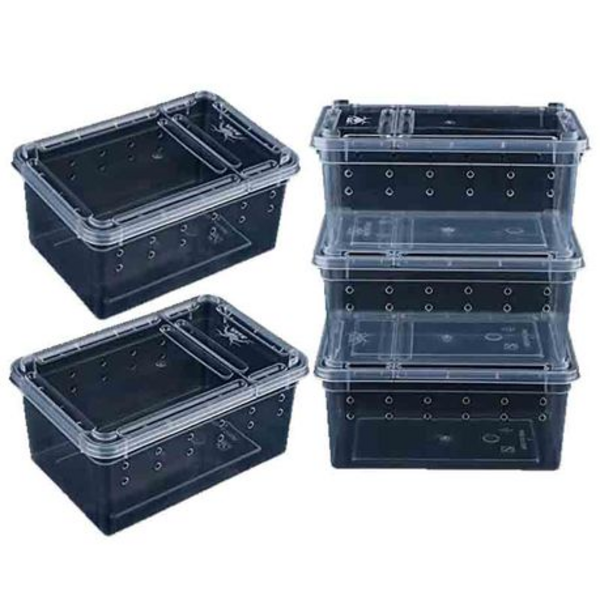 Small Reptile Breeding Box H3 / Cage / Display 5 Set