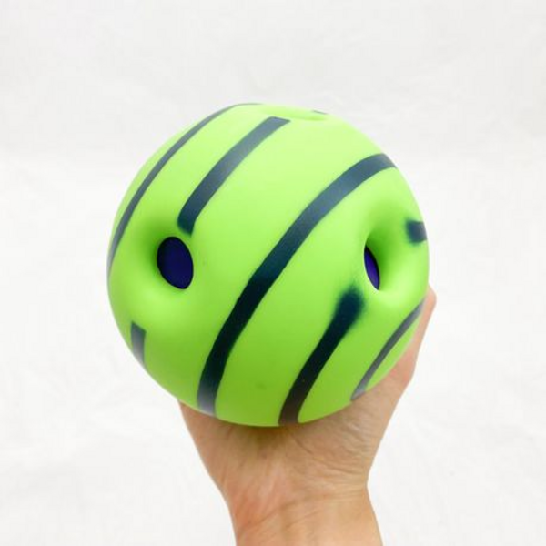 Petsound Ball (M-11cm or L-14cm) Please Select Size