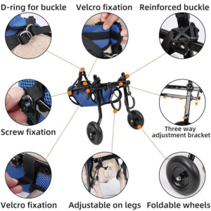 Pet Walk Adjustable Wheelchair For Back Legs - Image 9