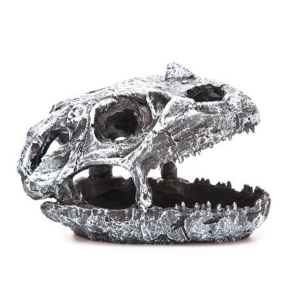 Dinosaur Skull for Terrarium
