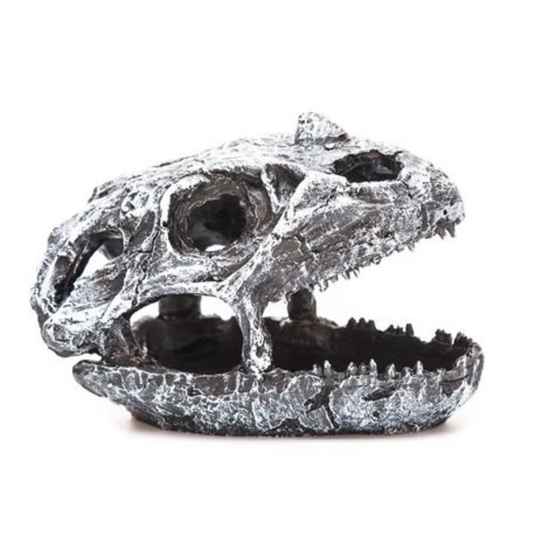 Dinosaur Skull for Terrarium