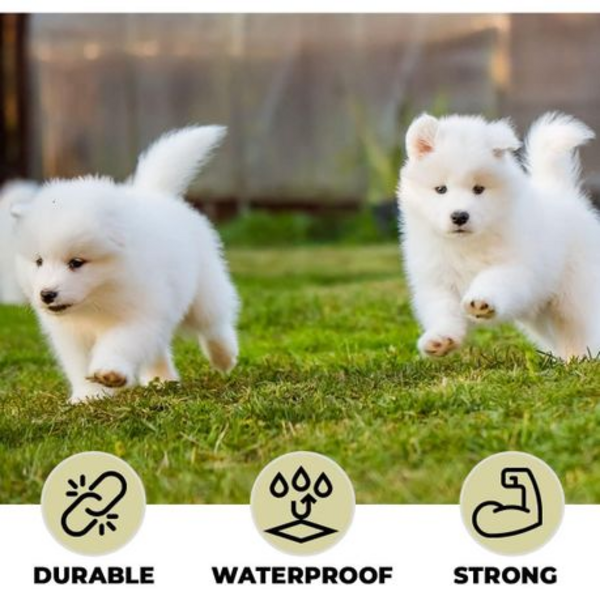 Adjustable No-Pull Dog Harness & Leash Set - Medium (Black)