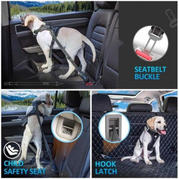 2 Pack Adjustable Premium Dog Bungee Seatbelt