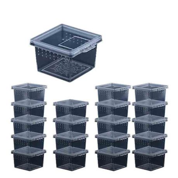 Tarantula Tub pack of 20