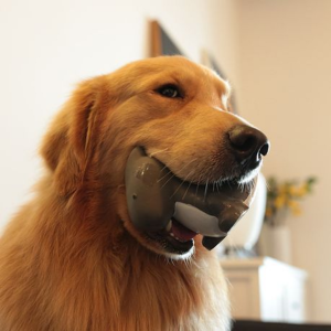 Latex Stegosaurus Dog Toy with Squeaker - Non-Toxic Natural Rubber (19cm) - Image 3