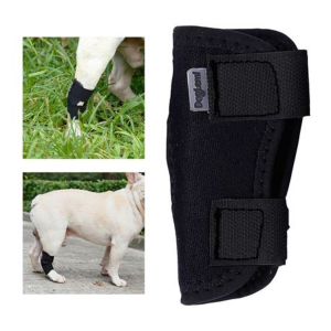 Dog Hock Brace - Short (Please Select Size) - Image 2