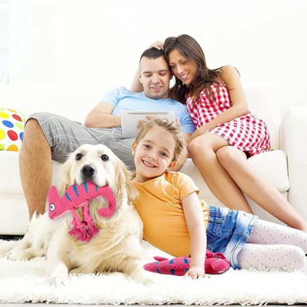 Squeaky Chameleon Rope Dog Toy (26cm) - Plush Chew & Tug Toy