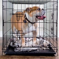 90cm Foldable Steel Pet Crate with Double Doors & Removable Tray - Image 5