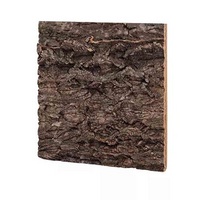 Cork Background All Natural Decorative For Terrariums and Plants