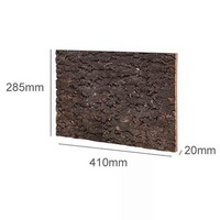 Cork Background All Natural Decorative For Terrariums and Plants - Image 3