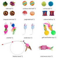 21 Piece Interactive Cat Play Set With T-shaped Tunnel - Image 3