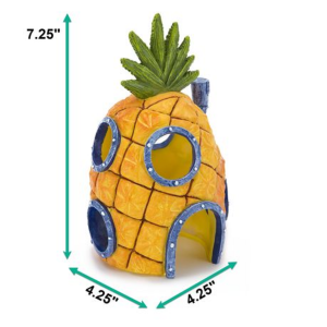 Spongebob's Pineapple House - Image 2