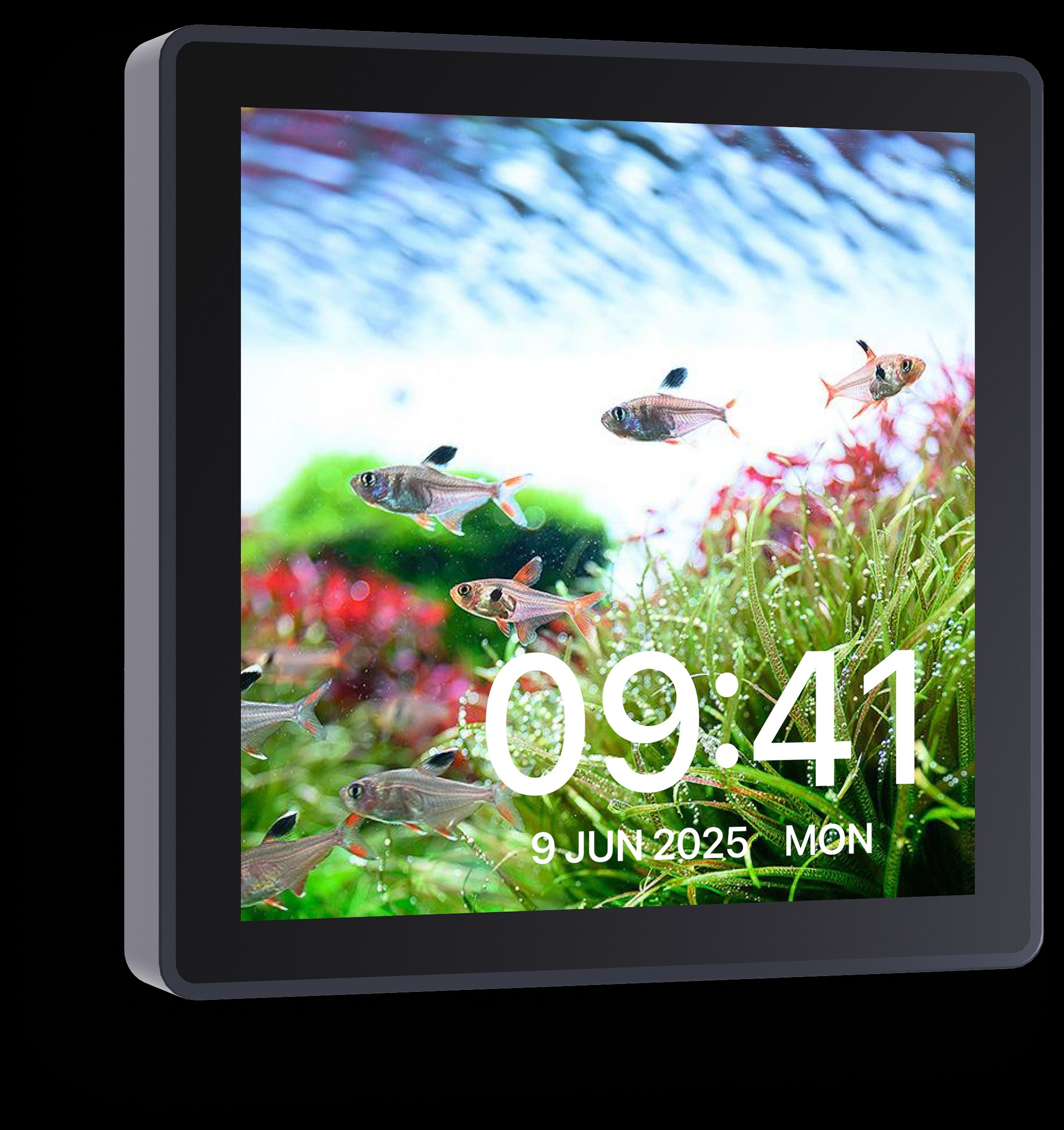 Chihiros WiFi Hub Pro – Smart Aquarium Control Centre - Image 1