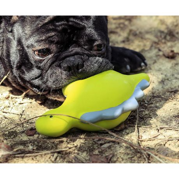 Latex Stegosaurus Dog Toy with Squeaker - Non-Toxic Natural Rubber (19cm)