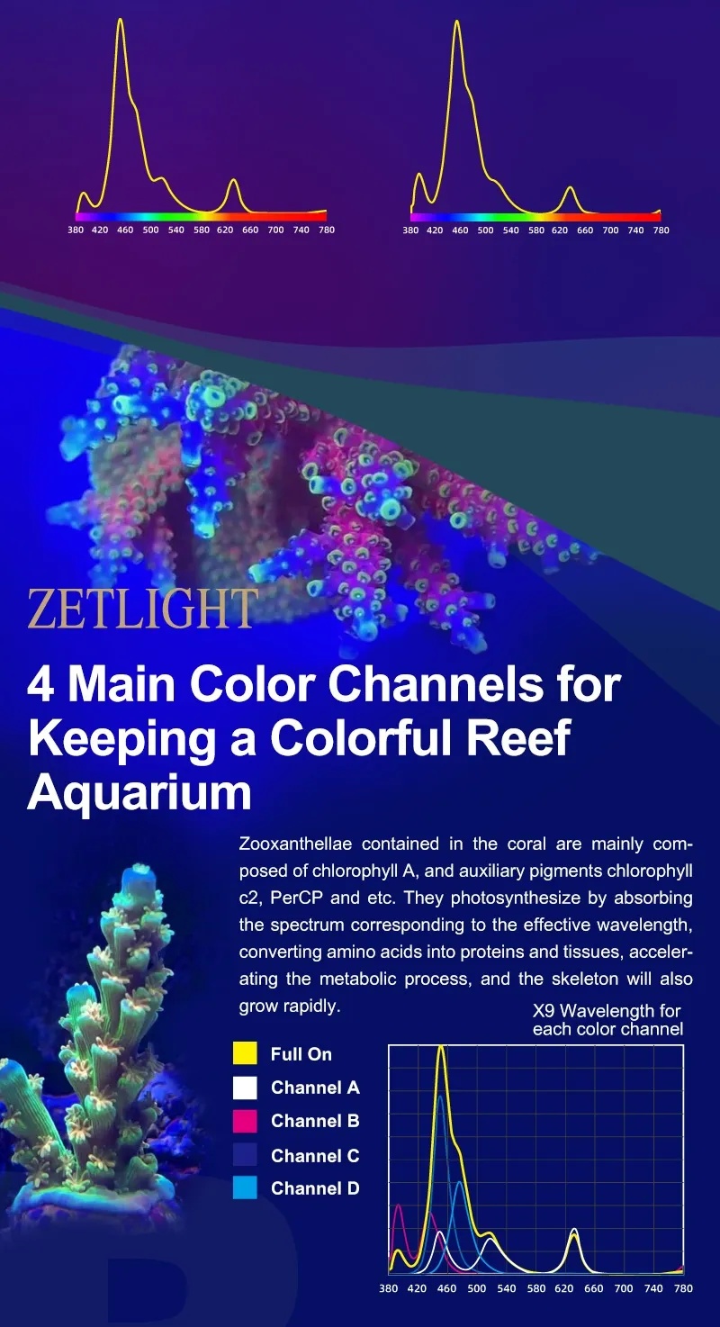 Zetlight X9 PRO 96W Marine LED Reef Light with RGB Sunset Spectrum & App Control - Image 9