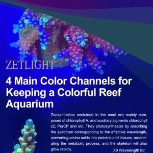 Zetlight X9 PRO 96W Marine LED Reef Light with RGB Sunset Spectrum & App Control - Image 10
