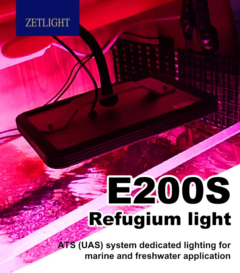 Zetlight E200S WiFi Algae Refugium LED Light – Macroalgae Growth System - Image 13