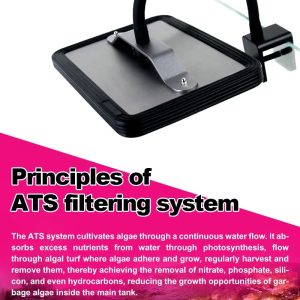 Zetlight E200S WiFi Algae Refugium LED Light – Macroalgae Growth System - Image 12