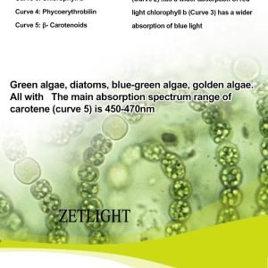 Zetlight E200S WiFi Algae Refugium LED Light – Macroalgae Growth System - Image 8