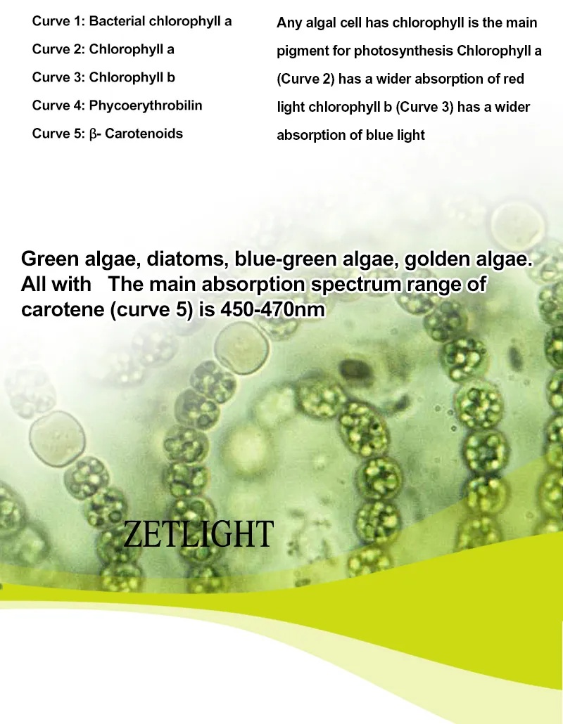 Zetlight E200S WiFi Algae Refugium LED Light – Macroalgae Growth System - Image 8