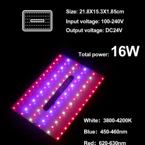 Zetlight E200S WiFi Algae Refugium LED Light – Macroalgae Growth System - Image 6