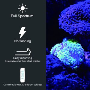 Zetlight Lancia WiFi Freshwater LED Light (300P–1500P) – App Controlled Planted Aquarium Lighting - Image 2
