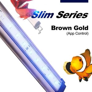 Zetlight Lancia WiFi Freshwater LED Light (300P–1500P) – App Controlled Planted Aquarium Lighting - Image 20