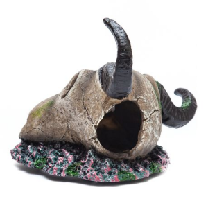 Buck Skull for Terrarium - Image 2