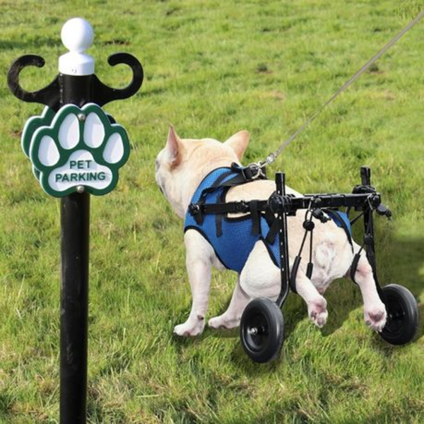 Pet Walk Adjustable Wheelchair For Back Legs