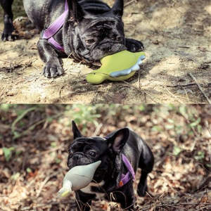 Latex T-Rex Dog Toy with Squeaker - Non-Toxic Natural Rubber (14cm) - Image 4