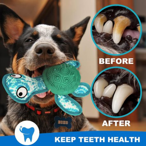Turtle Dog Chew Toy with Squeeker & Treat Dispenser