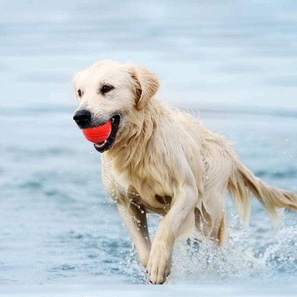 Solid Rubber Ball 7cm – Durable Interactive Dog Toy