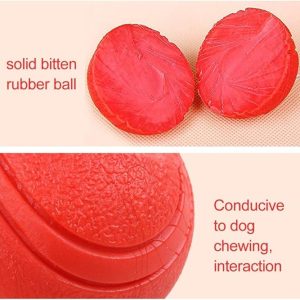 Solid Rubber Ball 7cm – Durable Interactive Dog Toy - Image 2