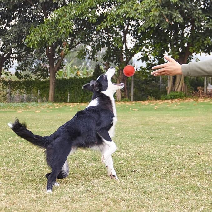 Solid Rubber Ball 7cm – Durable Interactive Dog Toy - Image 3