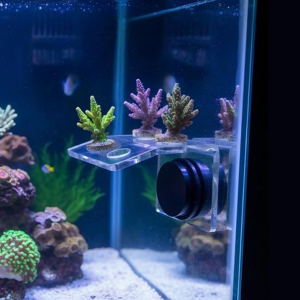 Marine Sources Magnetic Acrylic Coral Bracket Holder - 4-Hole - Image 4