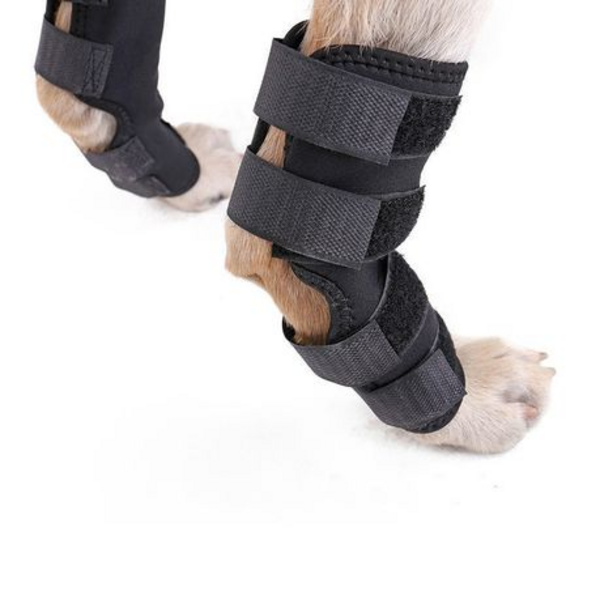 Dog Hock Brace - Long (Please Select Size)