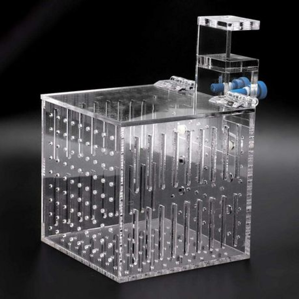Acrylic Fish Isolation Box with Hanging Bracket 105mm Cube