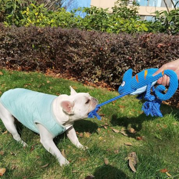 Squeaky Chameleon Rope Dog Toy (26cm) - Plush Chew & Tug Toy