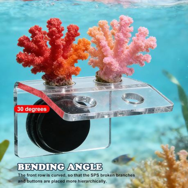 Marine Sources Magnetic Acrylic Coral Bracket Holder - 4-Hole