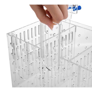 Acrylic Double Fish Isolation Box 200 x 120 x 130mm - Image 5