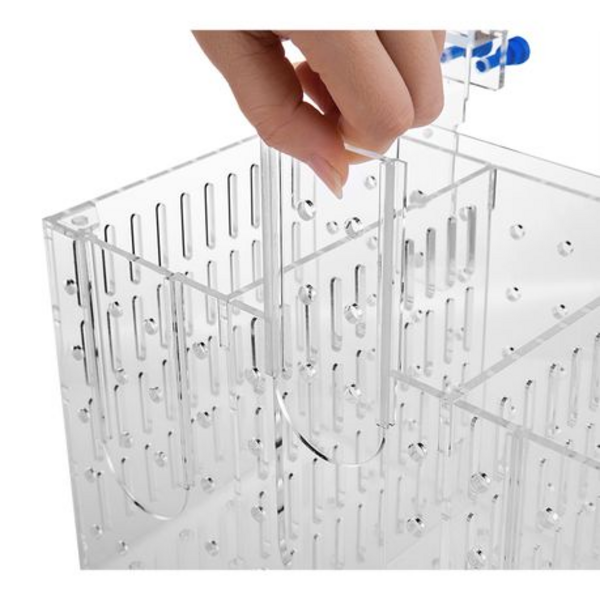 Acrylic Double Fish Isolation Box 200 x 120 x 130mm