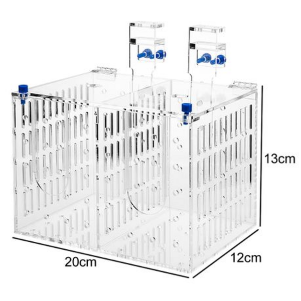 Acrylic Double Fish Isolation Box 200 x 120 x 130mm