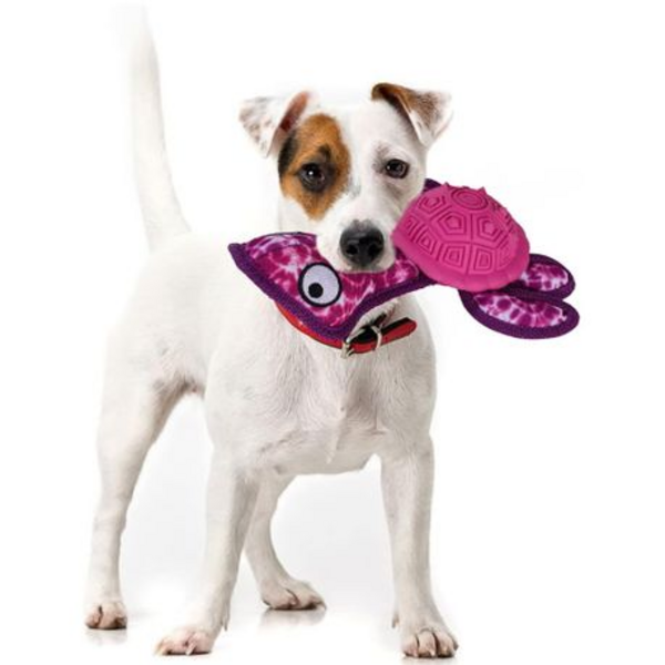 Turtle Dog Chew Toy with Squeeker & Treat Dispenser