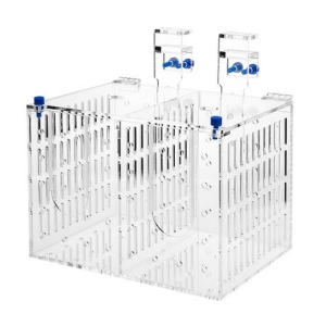 Acrylic Double Fish Isolation Box 200 x 120 x 130mm - Image 4
